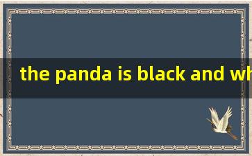 the panda is black and white怎么读